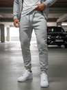 Moške spodnji deli trenirke Barva siva DSTREET UX2623