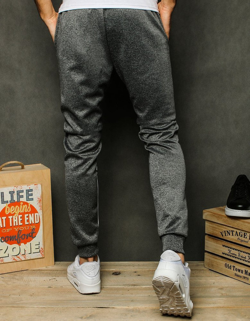 Moške jogger hlače Barva Temno siva DSTREET UX2527