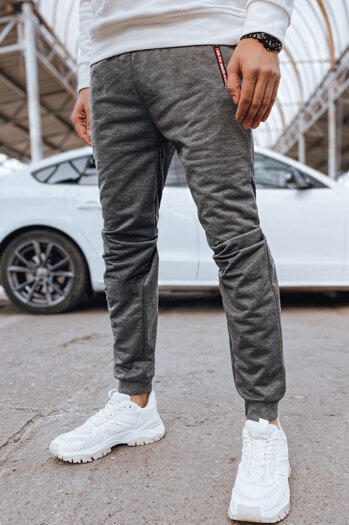 Moške spodnji deli trenirke Barva Svetlosiva DSTREET UX4281