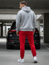Moške spodnji deli trenirke Barva rdeča DSTREET UX2711